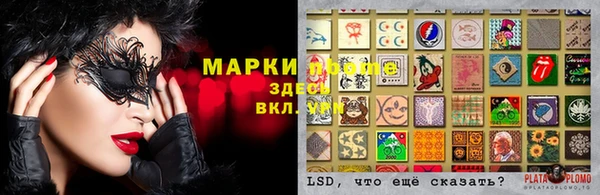 дживик Майский