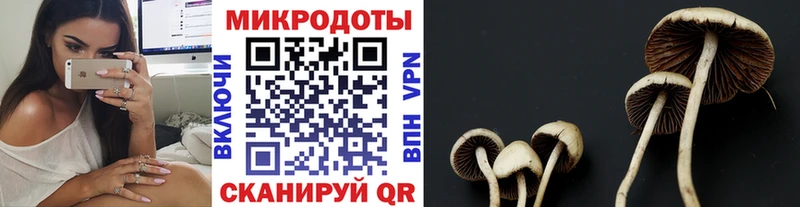 что такое   Черемхово  Галлюциногенные грибы мухоморы 