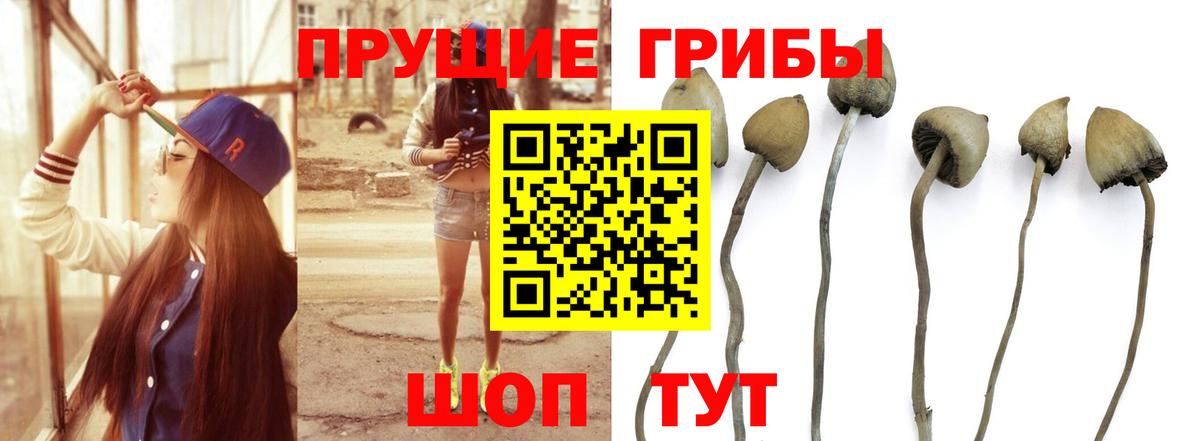 Псилоцибиновые грибы Magic Shrooms Черемхово